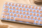 TAVNIXO F3587 wired mechanical keyboard feature: 20 blue backlight effects