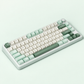 RK R75 Pro V2 mint green keyboard with Smoke Rain V3 switches