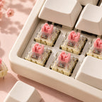 TAVNIXO TTC Gold Pink linear switches installed on keyboard