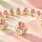 TAVNIXO TTC Gold Pink linear keyboard switches arranged in a circle